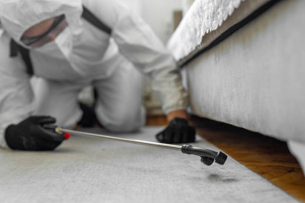 Professional Bed Bug Control technician working in New Sharon, IA