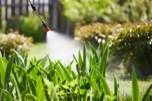 24/7 Emergency Bed Bug Control experts in New Sharon, IA