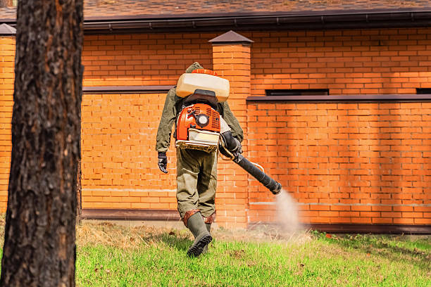 Trusted Cockroach Control service in New Sharon, IA - Nex Pest Control